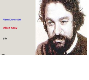 Mete Demirtürk