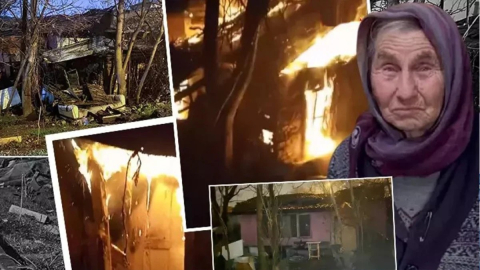 SOKAK HAYVANLARI SORUNU  YARGIYA TAŞINDI